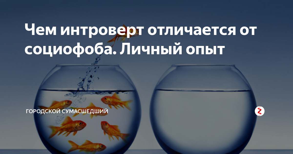 Интроверт или социофоб тест. Интроверт или социофоб тест