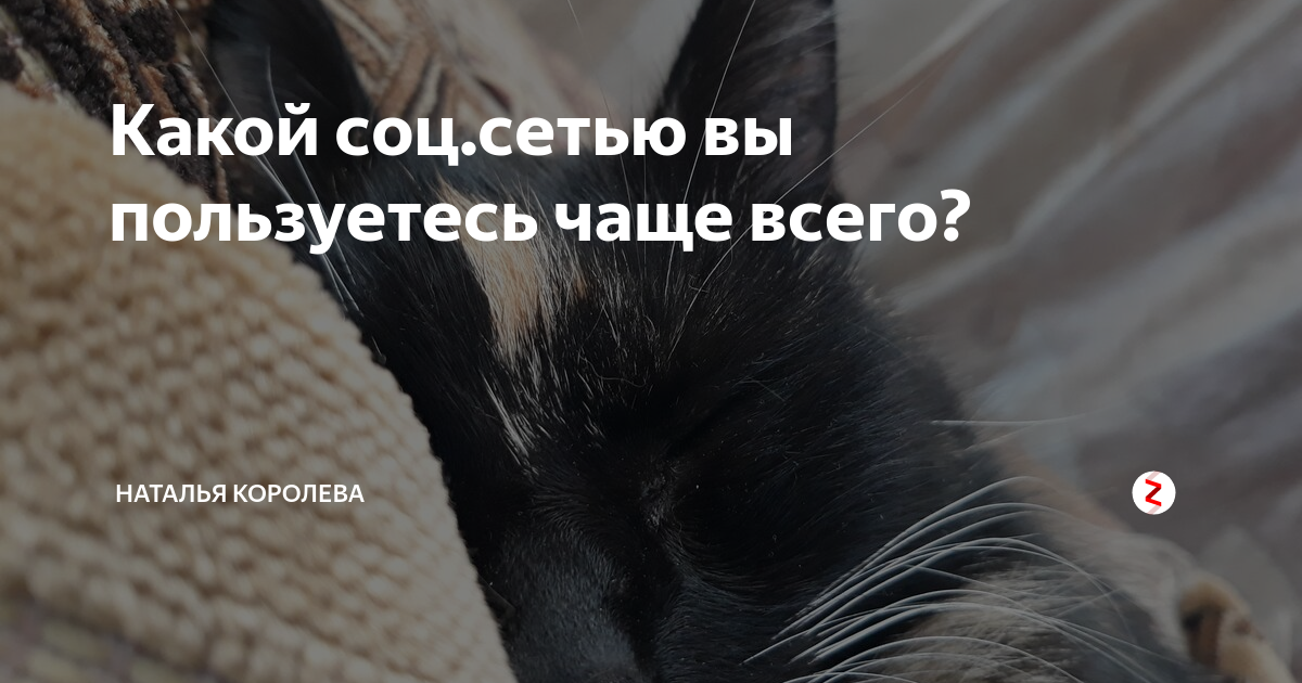 Какой соц.сетью вы пользуетесь чаще всего? | здесь интересно | Дзен
