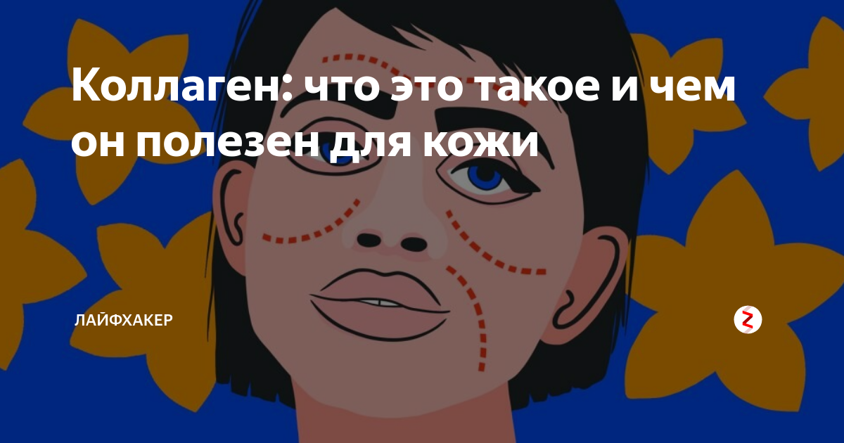 Коллаген: что это такое и чем он полезен для кожи | Лайфхакер | Дзен