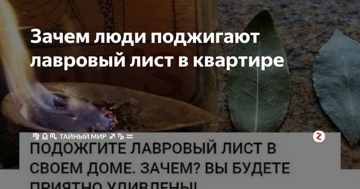 zen.yandex.ru