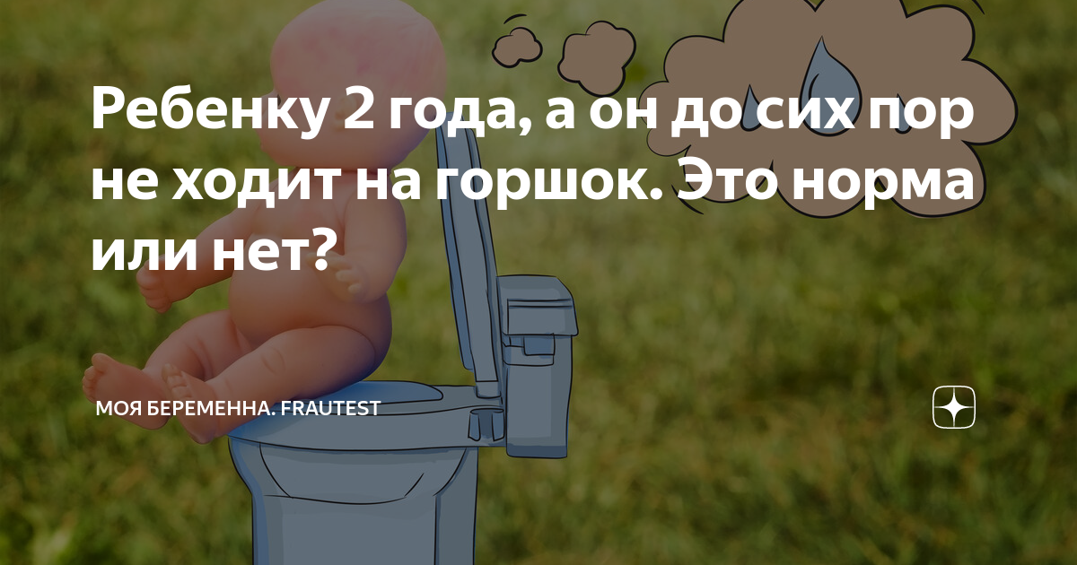 Что делать,если 2 года,а на горшок не ходит никак?