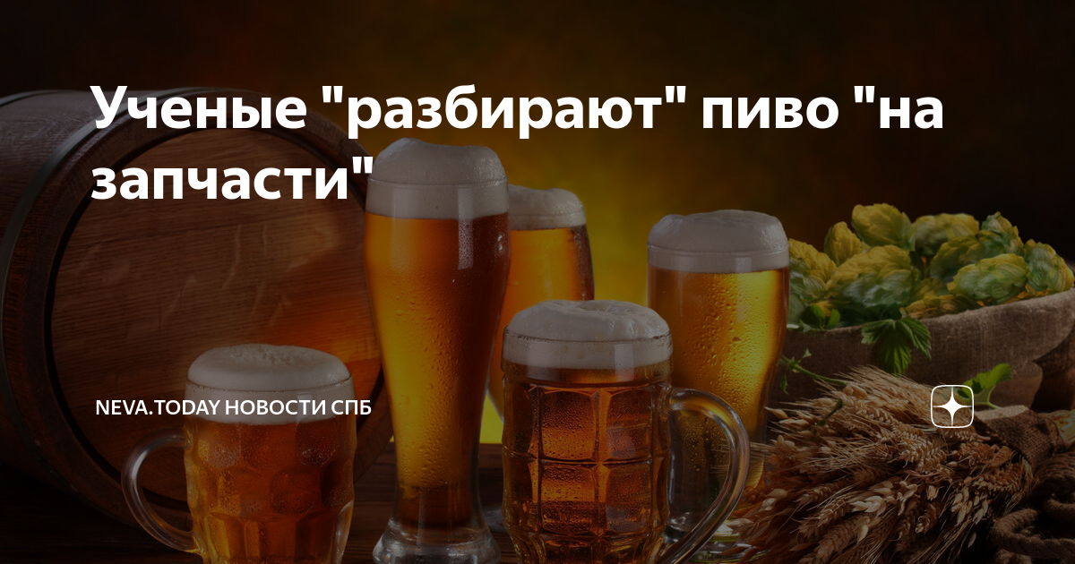 Выходим пивом. Польза пива. Воскресенье пиво. Что полезного в пиве. Пиво польза и вред.