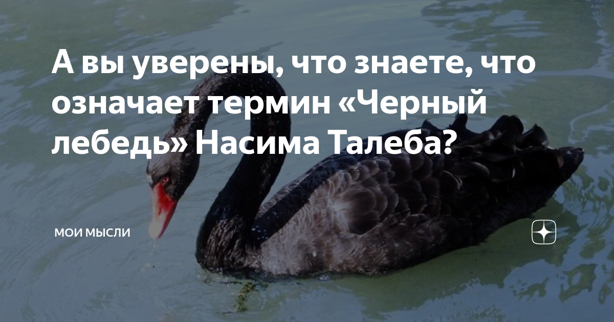 Сергей Даценко рассказывает про «черного лебедя» в продажах
