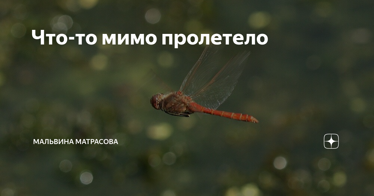 Мимо меня и муха не пролетит. Как научиться жить для себя и детей. Пролетели мимо пролетели будто. Пролетели мимо пролетели будто. Стихи про года летят.