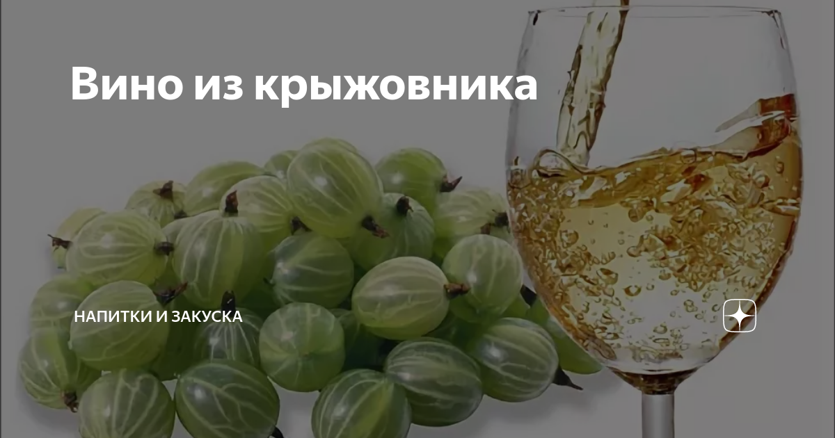 Простой рецепт крыжовник вино. Крыжовник вино. Вино из крыжовника йошта. Вино из крыжовника. Крыжовниковое вино.