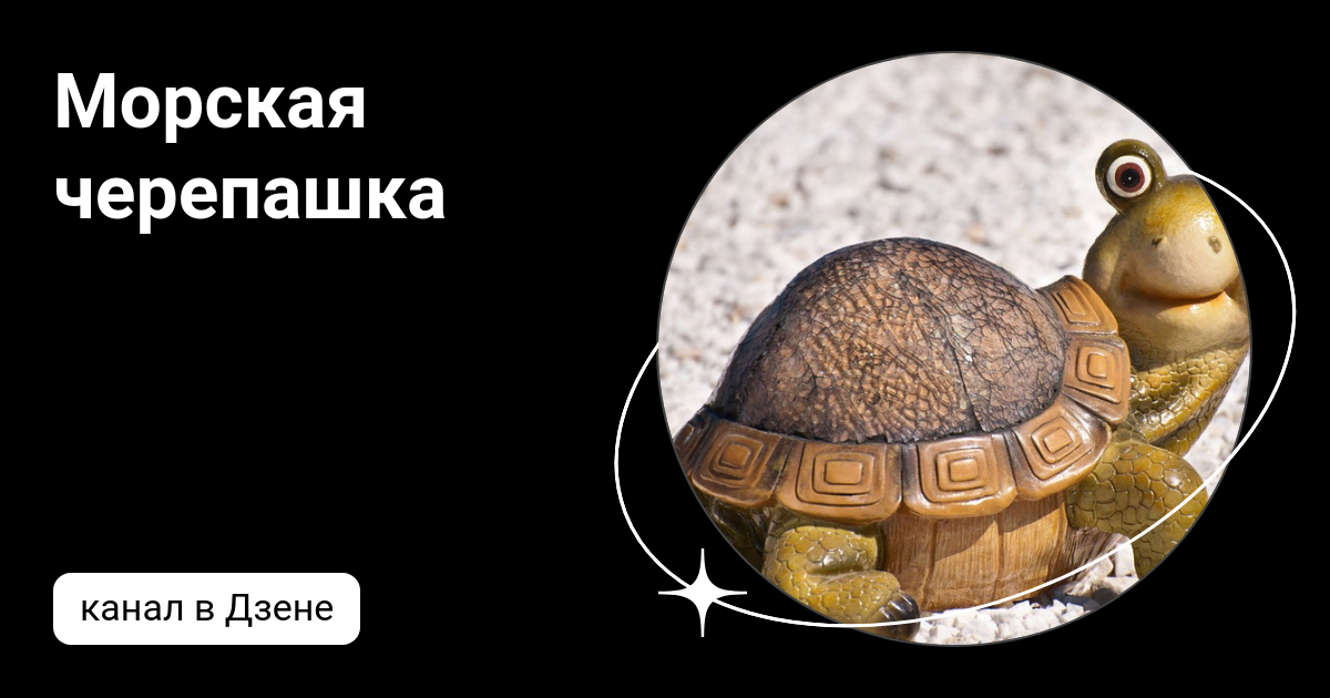 Фарфоровая черепашка дзен. Turtles дзен. Летающая черепаха.