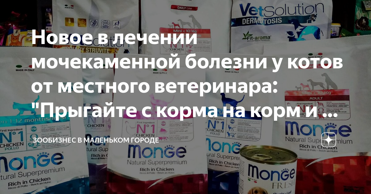 какой корм лучше при мочекаменной болезни. роял канин прозрачный фон. какой корм лучше при мочекаменной болезни. какой корм лучше при мочекаменной болезни. монже уринари корм для кошек.