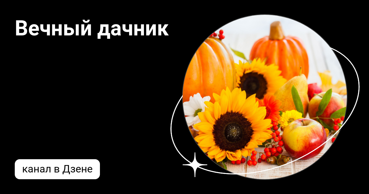Вечный дачник | Дзен