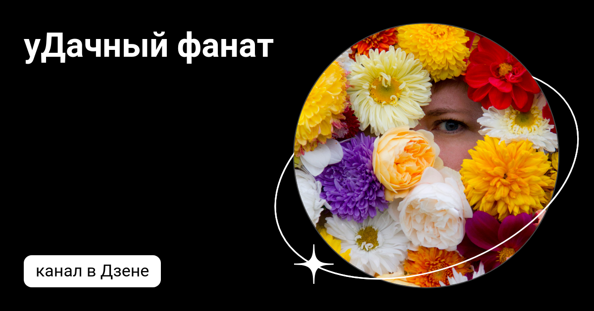 уДачный фанат | Дзен