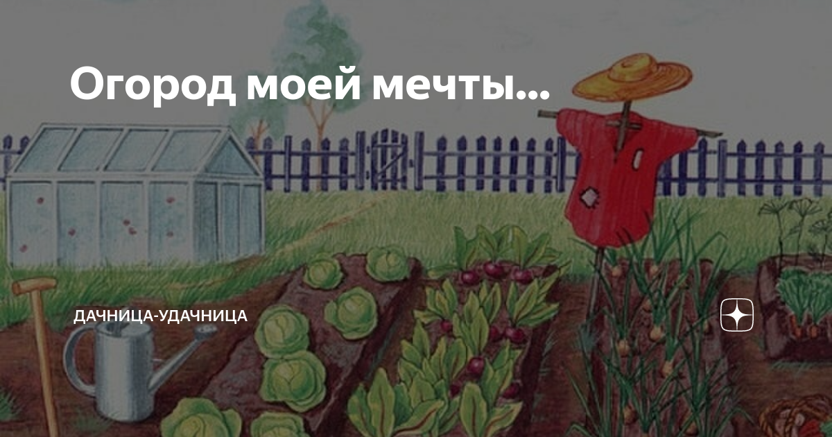 Тулячка Ирина Щербакова: «Сделать сад своей мечты просто! Главное — желание»