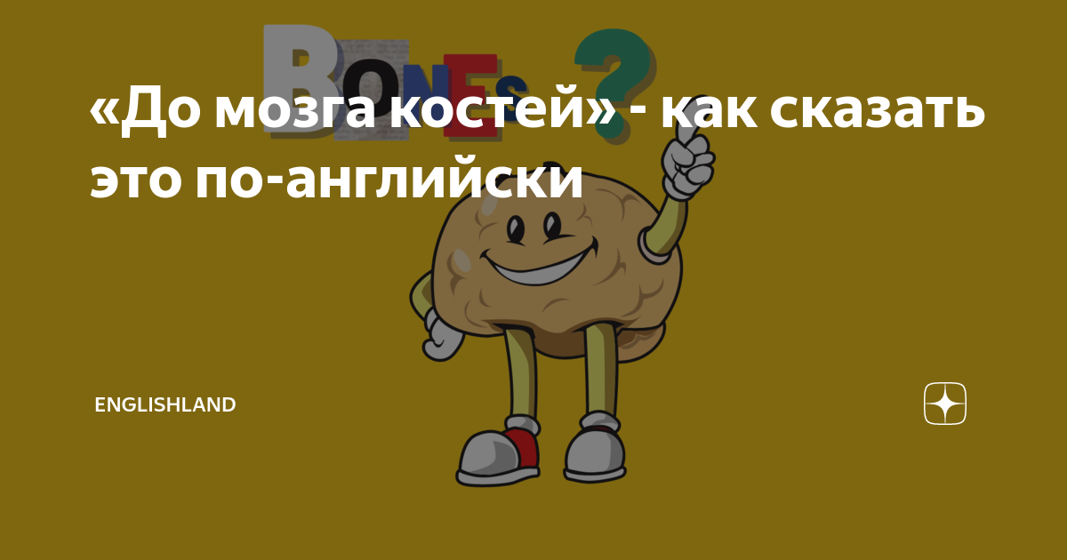 «До мозга костей» - как сказать это по-английски | Englishland | Дзен