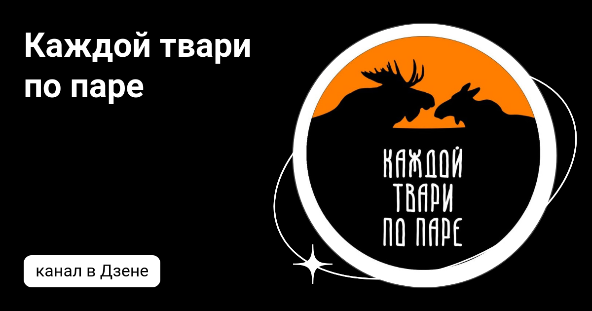 Каждой твари по паре | Дзен