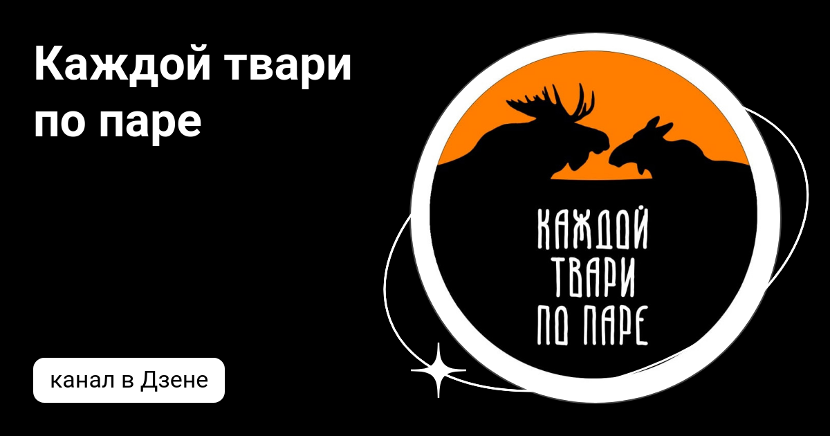 Каждой твари по паре книга. Каждой твари по паре. В Швейцарии каждой твари по паре. Марафон твари по паре меню.