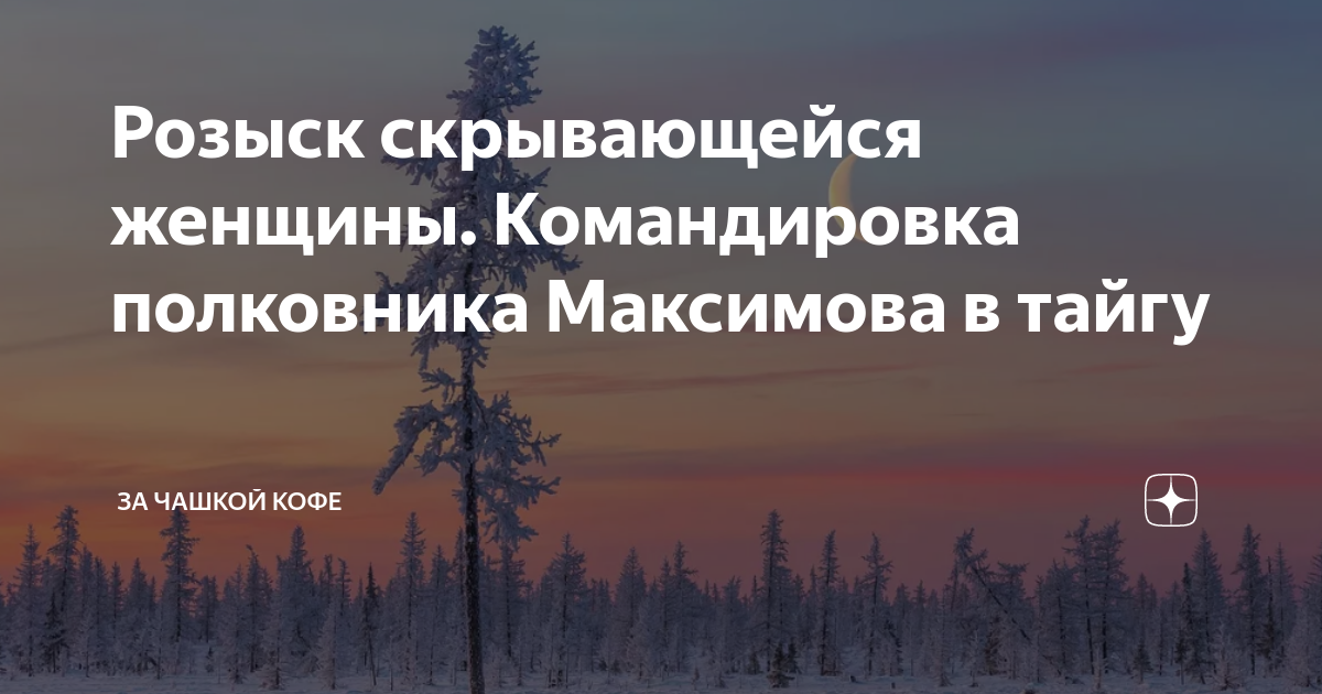 Розыск скрывающейся женщины Командировка полковника Максимова в тайгу