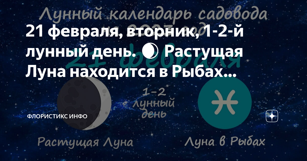 Растущая луна в феврале 2024 для посадки. Первый лунный день. Растущая Луна.