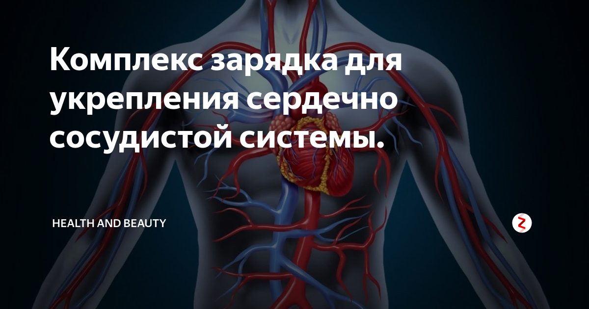 Как укрепить сердечную систему. Тренировка сердечно-сосудистой системы. Упражнения для сердечно-сосудистой системы. Комплекс упражнений для сердечно-сосудистой системы. Зарядка для укрепления сердца.