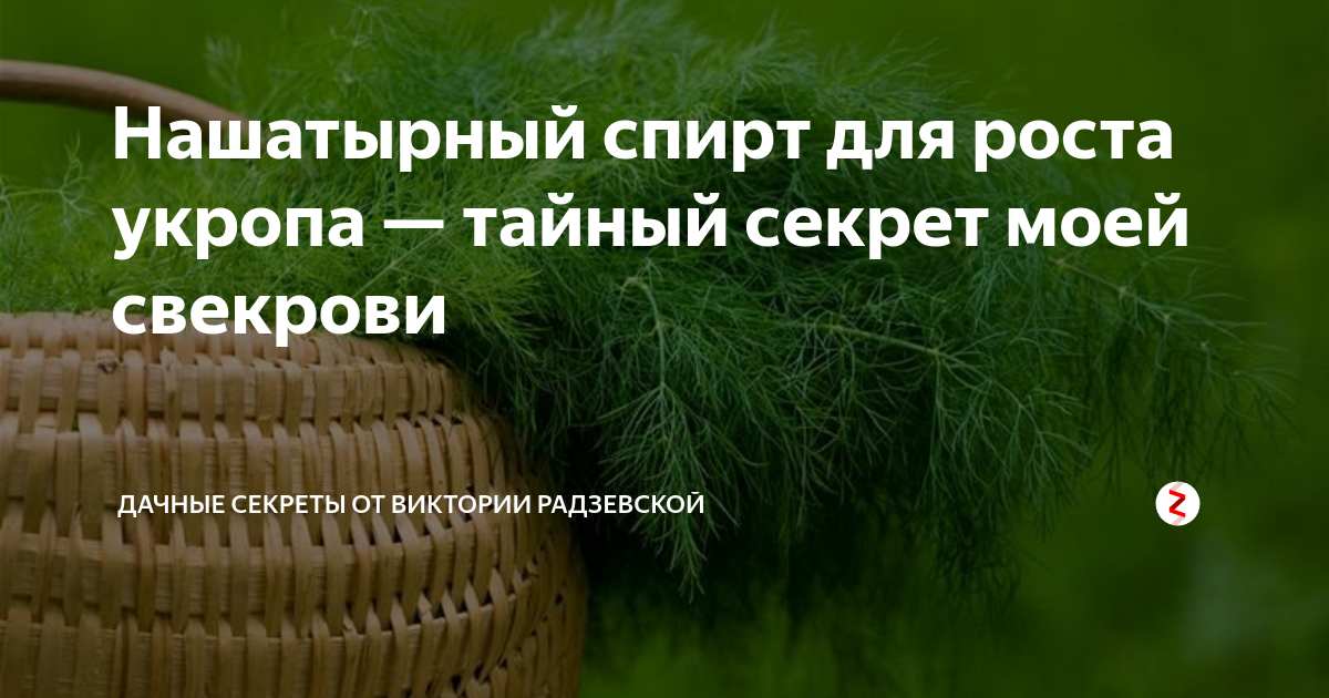 Оптимизация распределения растений для улучшения их развития