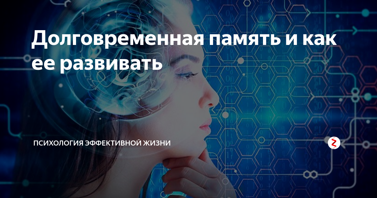 Долговременная память и как ее развивать | Психология эффективной жизни ...
