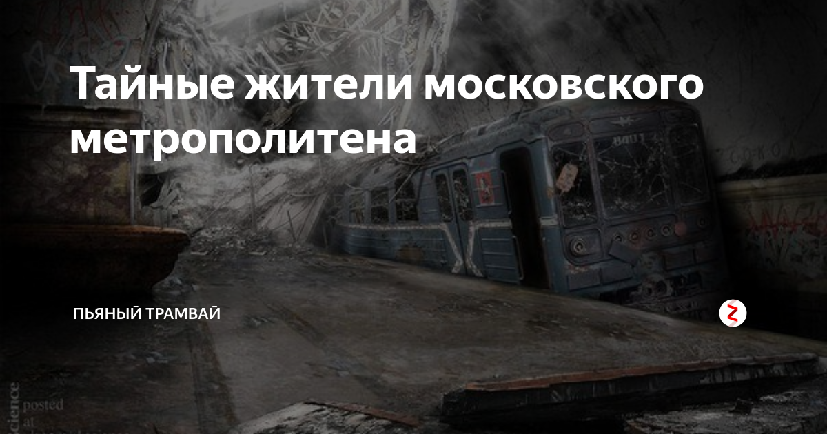 Тайные жители значение. Тайные жители. Пьяный Метрополитеновец сб. Пьяный Метрополитеновец сб ржака