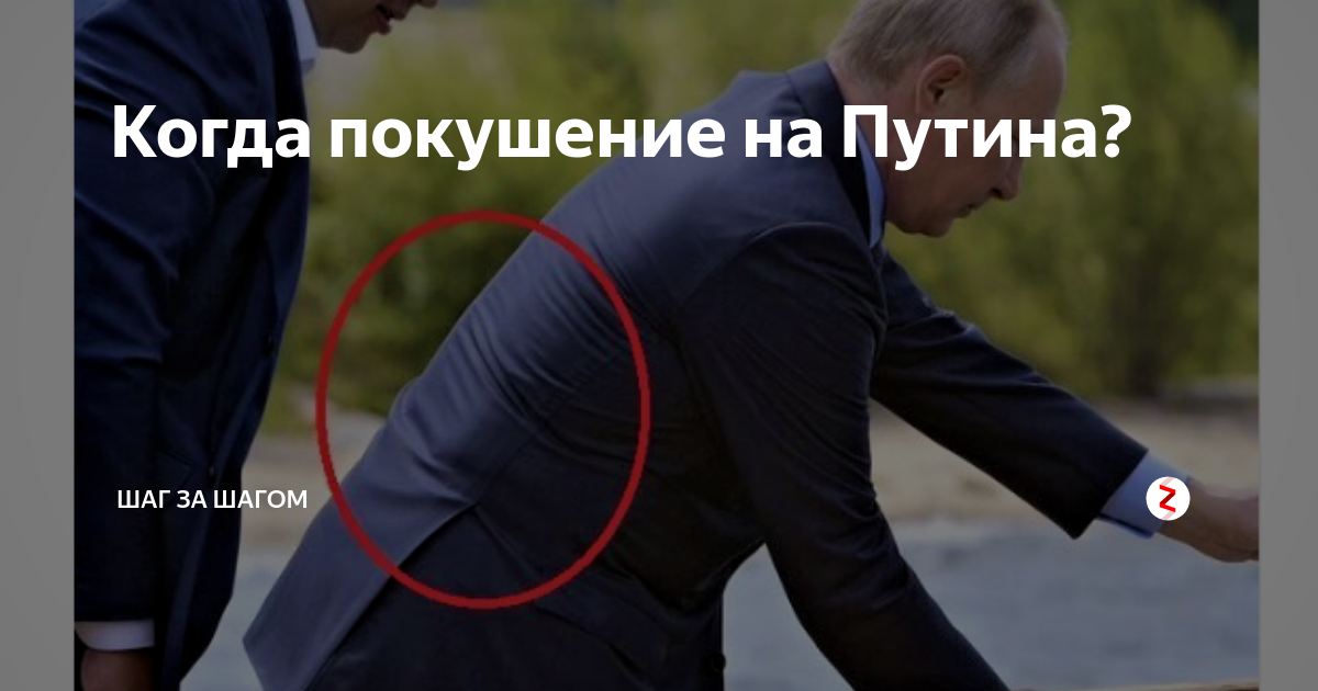 Покушение сколько лет дают. Бронежилет на Путине.