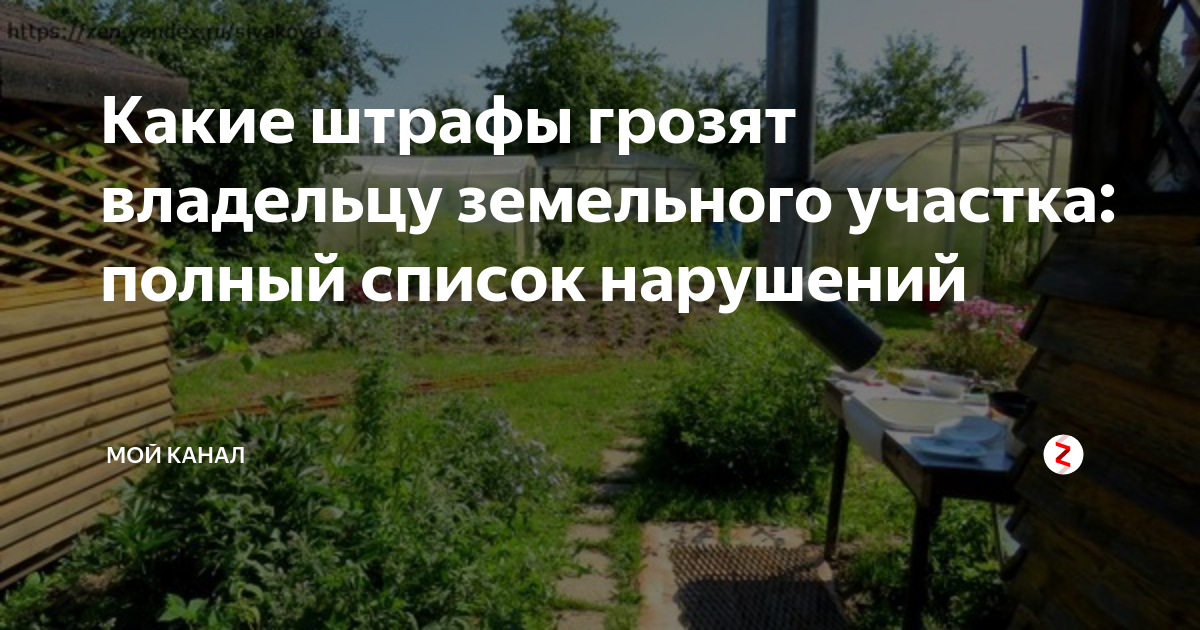 Обязанности собственника. Памятка по наркосодержащим растениям. Собственник земельного участка. Имущество общего пользования в садовом товариществе. Порядок использования открытого огня.