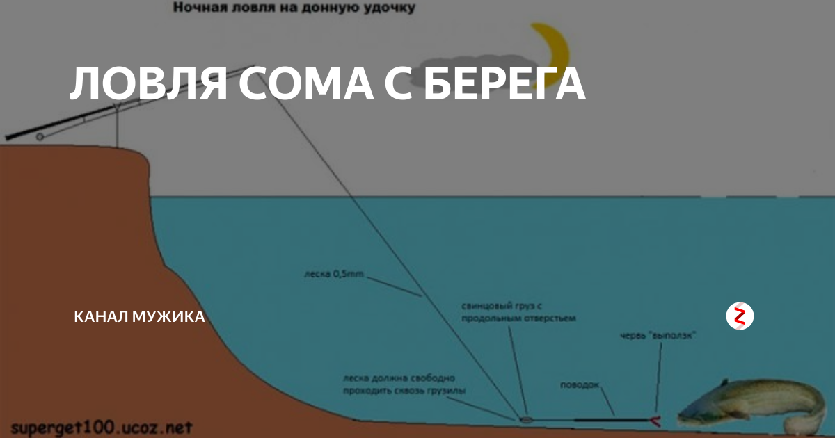 Снасть на сома: найдено 90 изображений