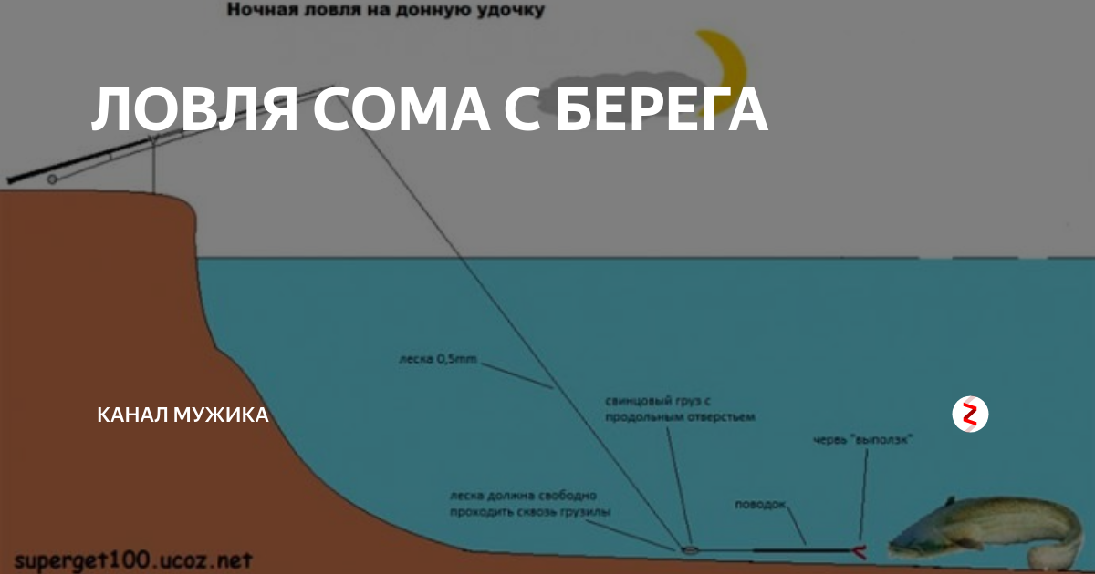 На что ловить сома на донку. Оснастка для ловли сома на донку с берега. Монтажи донной снасти для ловли сома. Оснастка удочки на сома с берега. Оснастка на сома на спиннинг.