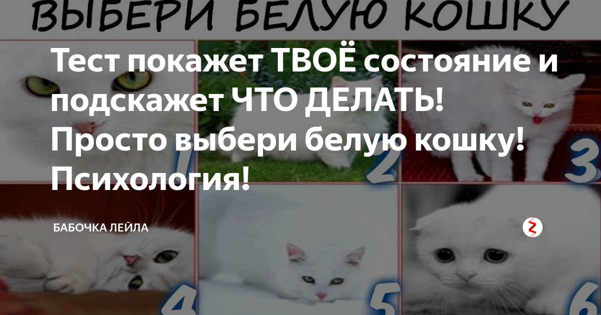 выбери белый. как стать белым если ты черный. неформальная занятость. чтотозначает былейцвет. выбери сторону чёрный или белый.