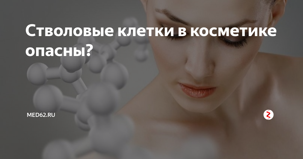 Стволовые клетки в косметике опасны? | Med62.ru | Дзен