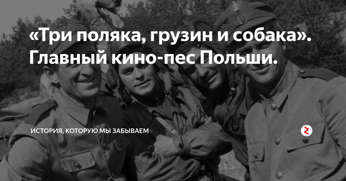 Поляк 3. Люди с польским флагом. Грузинские лгбт. Поляк 3. Сашка полякова май 1994 спб.