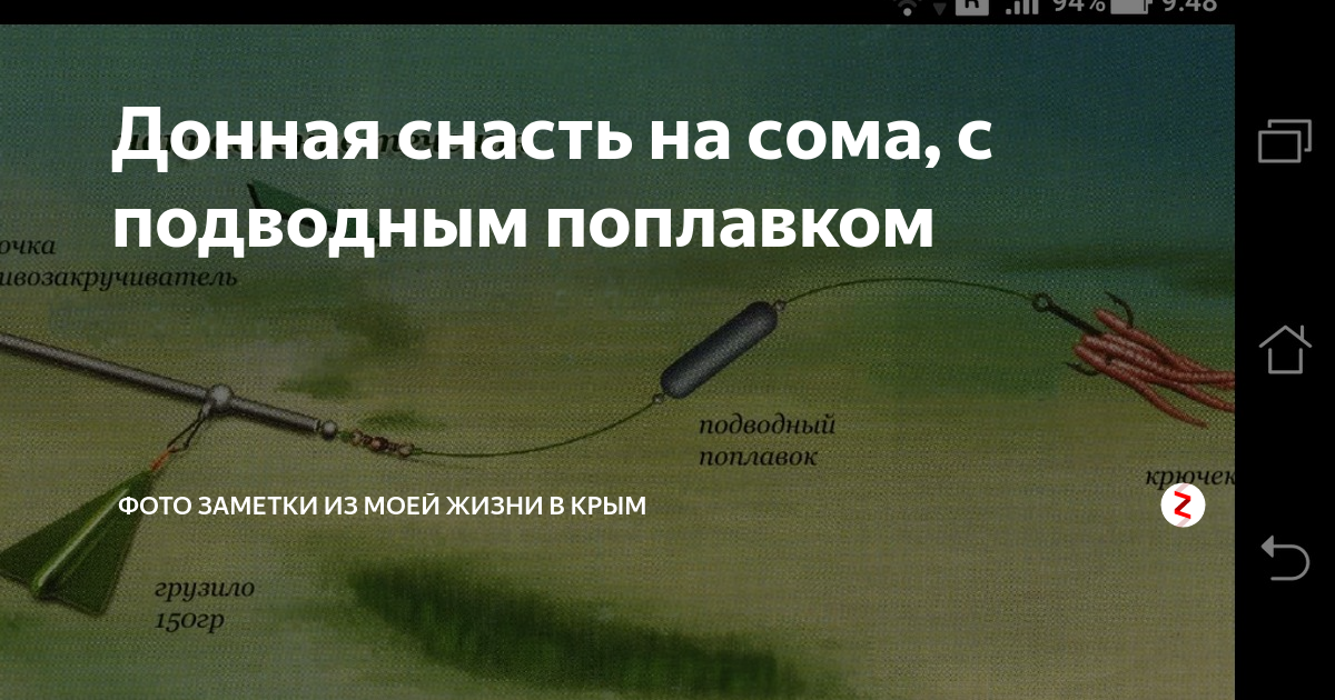 Снасть на сома: способы рыбалки с берега и оснастка донной и спиннинговой ловли,
