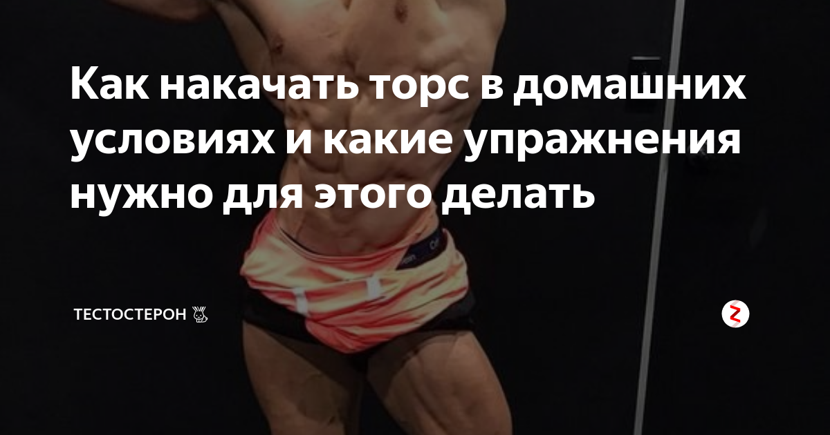 Как накачать торс в домашних условиях и какие упражнения нужно для ...
