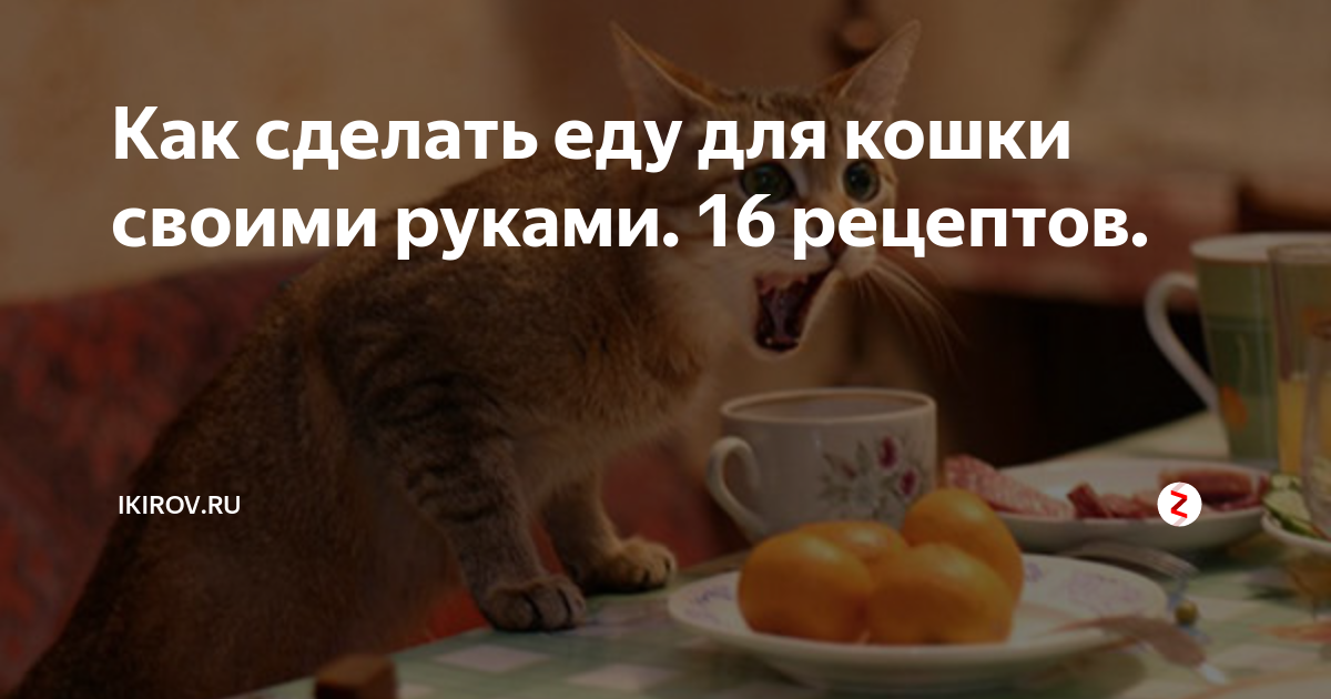 10 рецептов домашней кошачьей еды, которые понравятся каждой кошке