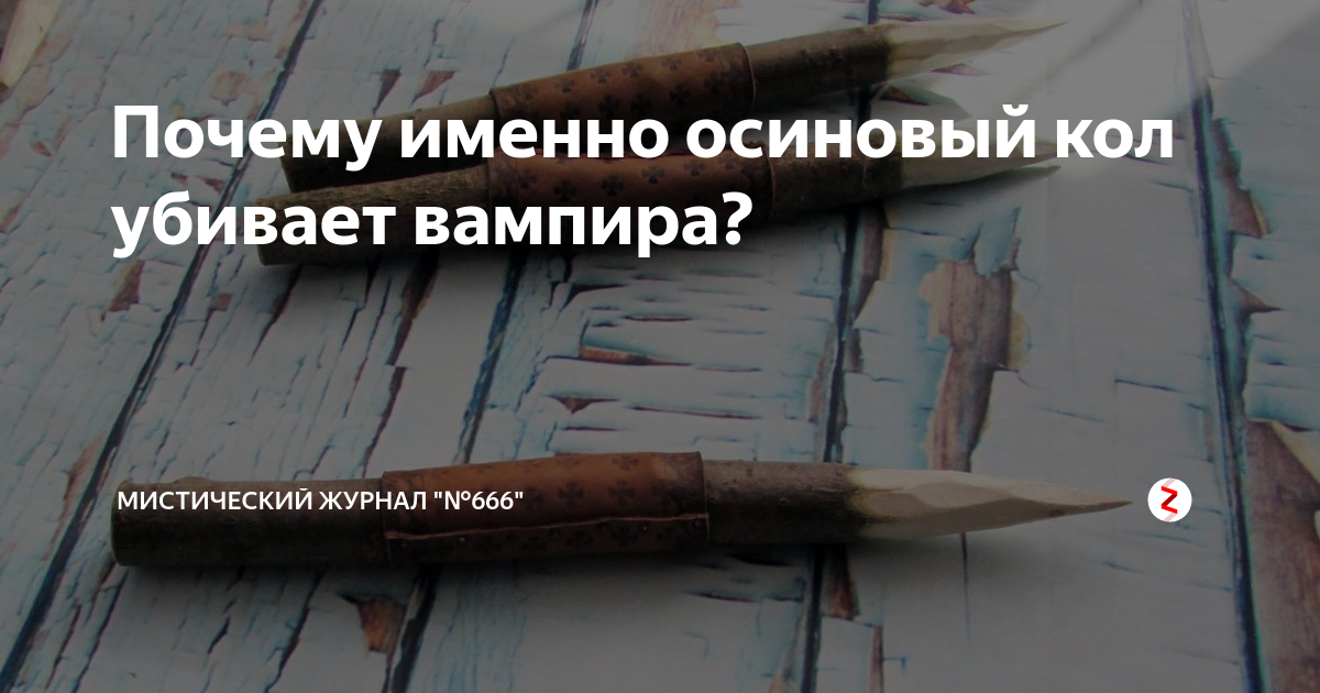 Почему именно осиновый кол убивает вампира? | Мистический журнал "№666 ...