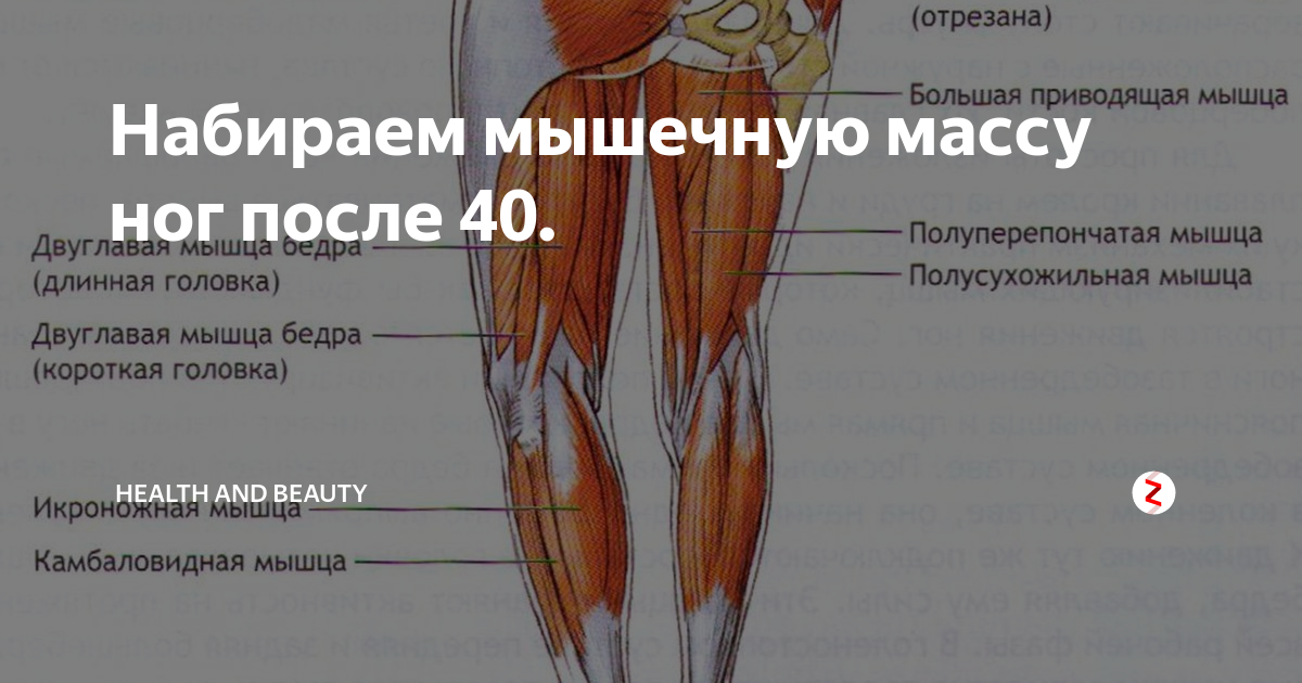 Дергается мышца на ноге на бедре