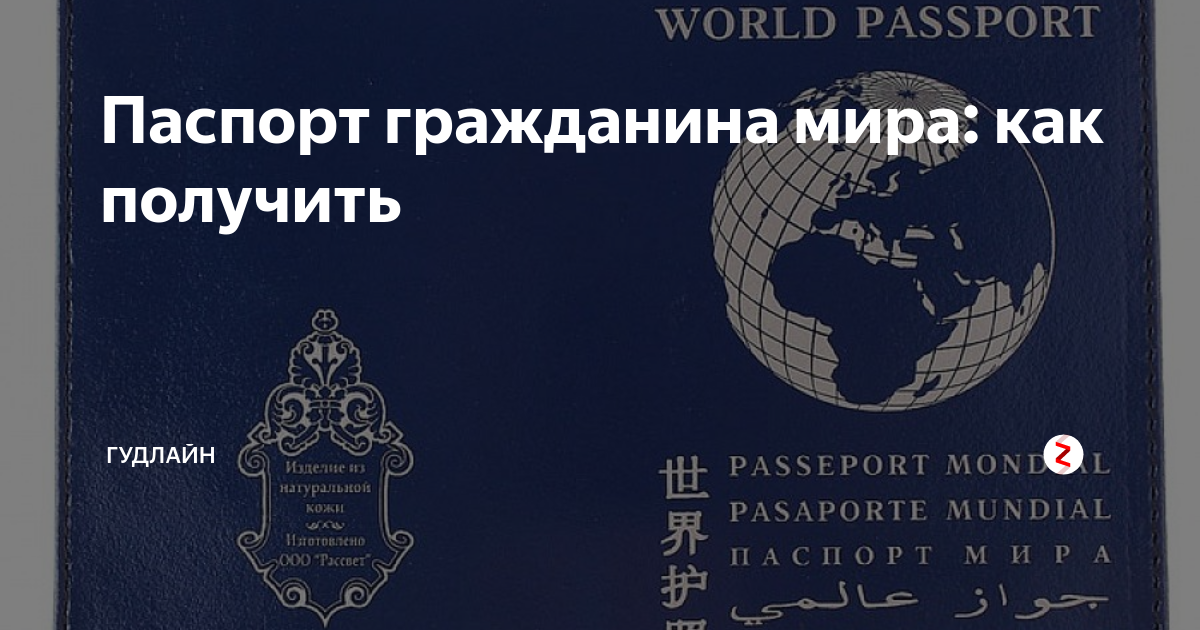 World passport. Паспорт гражданина мира. Паспорттгражданина мира. Международный паспорт мира. Паспорт ООН гражданин мира.