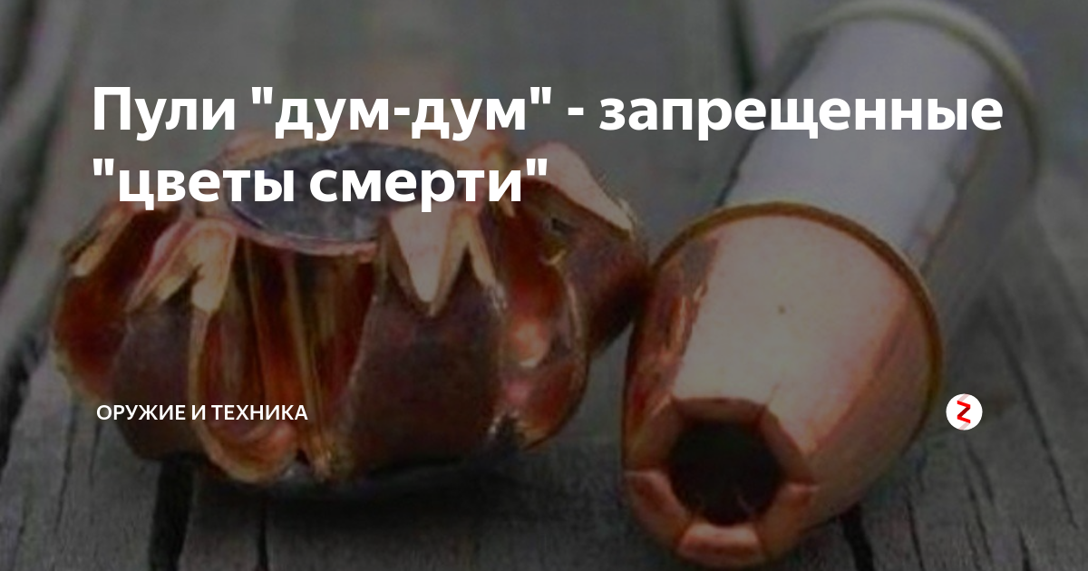 Пуля дум дум