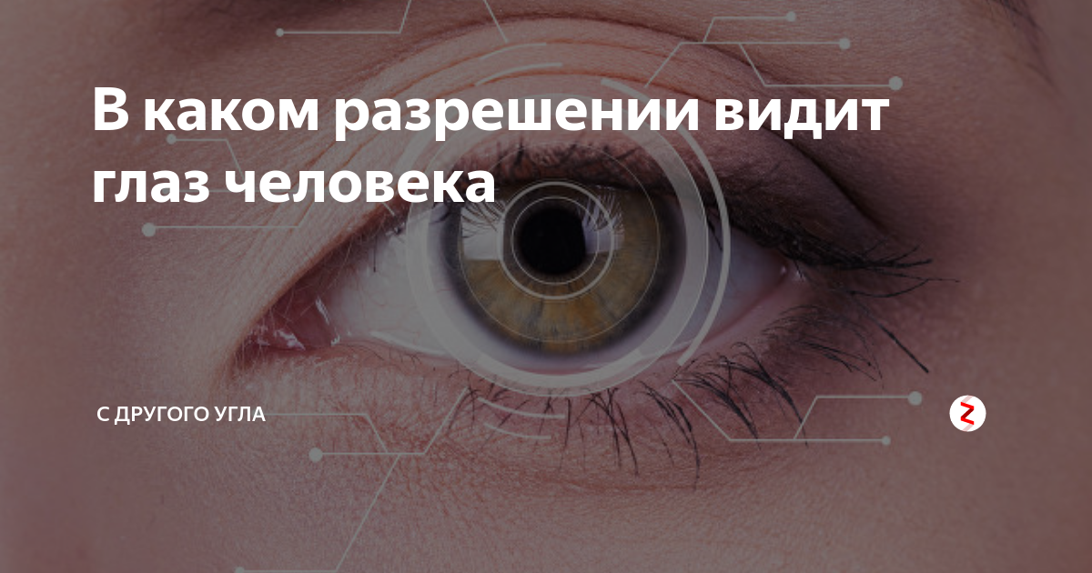 Из чего состоит глаз человека. Глаз дар природы. Строение глаза на обои. Какое разрешение у зрения человека. Fov человеческого глаза.