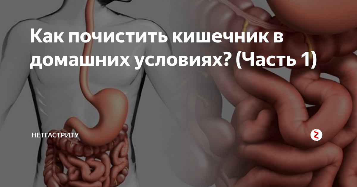 Как прочистить кишки