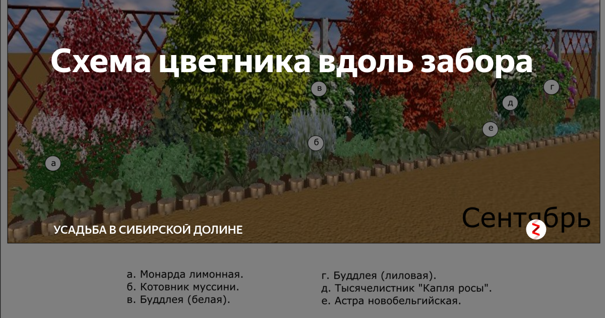 Схема миксбордера вдоль забора