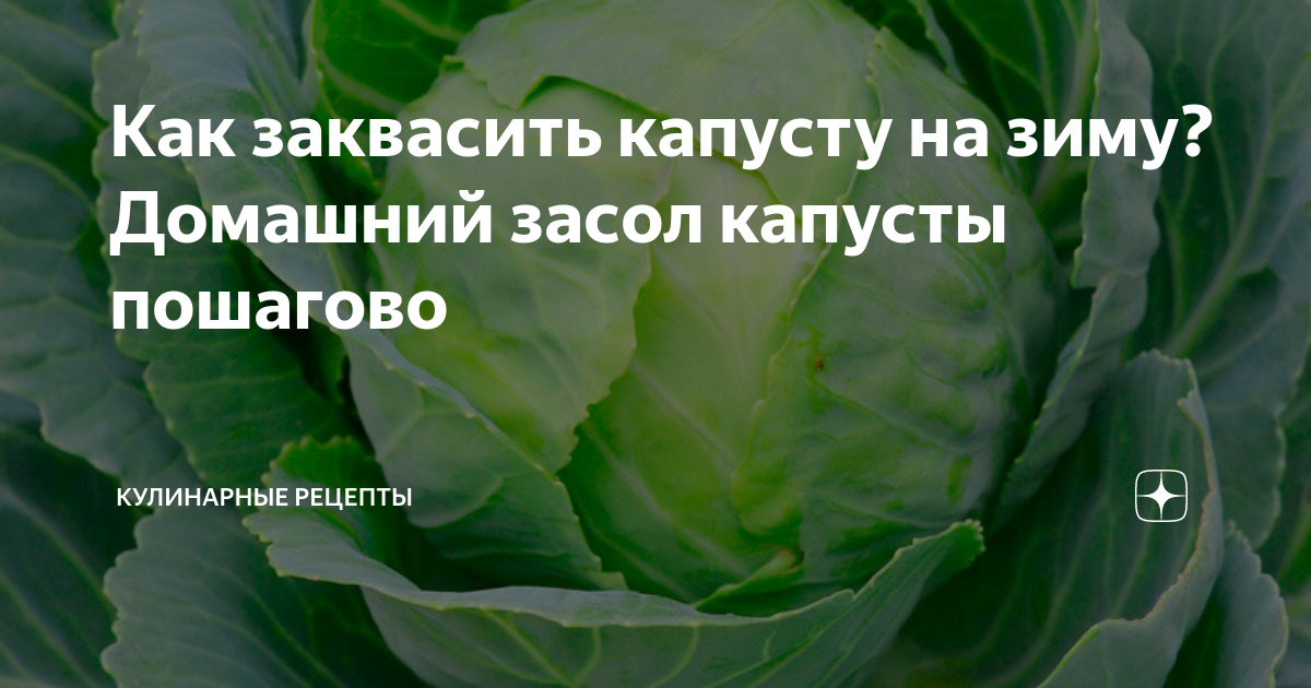 Как готовить квашеную капусту - почему она ен пускает сок