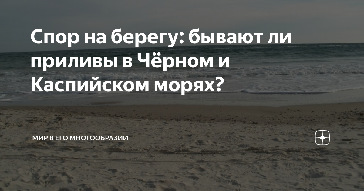Спор на берегу: бывают ли приливы в Чёрном и Каспийском морях? | Мир в ...
