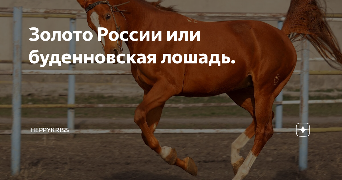 Воскресенье на работу прикольные. Забавные лошадки. По ту сторону изгороди лошадь. Мрожек. Орущая лошадь мем.