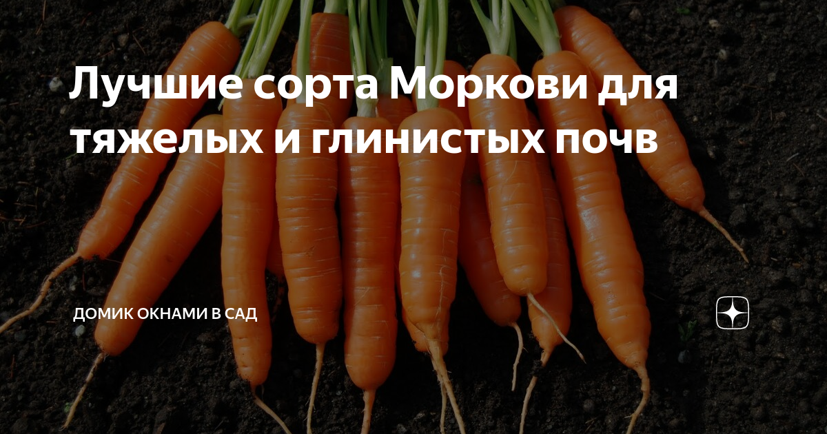 Виды пенисов: молоток, карандаш, каралька, гриб, огурец (подходящие позы) - ksz-ug.ru