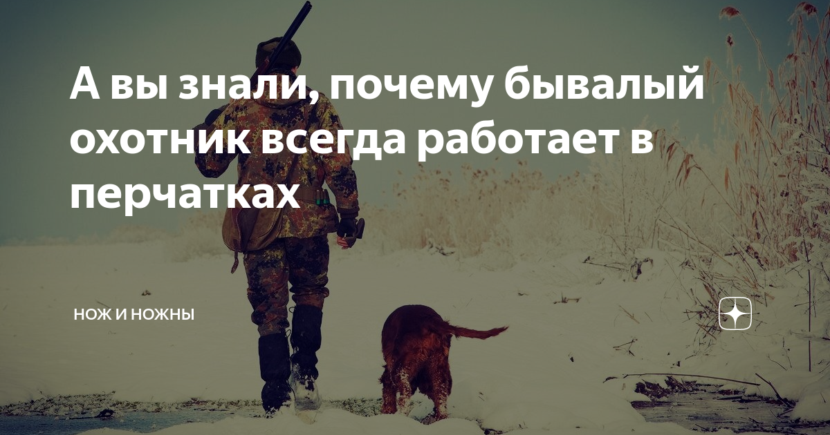 А вы знали, почему бывалый охотник всегда работает в перчатках | Нож и ...
