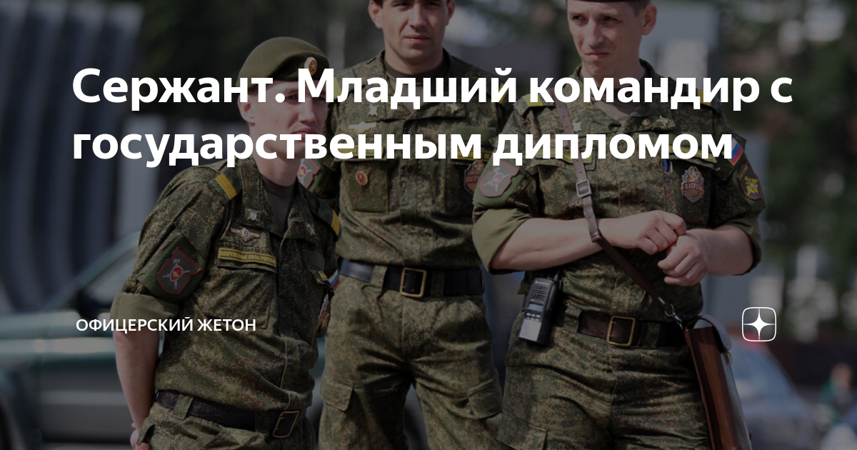 Сержант. Младший командир с государственным дипломом | Офицерский жетон ...