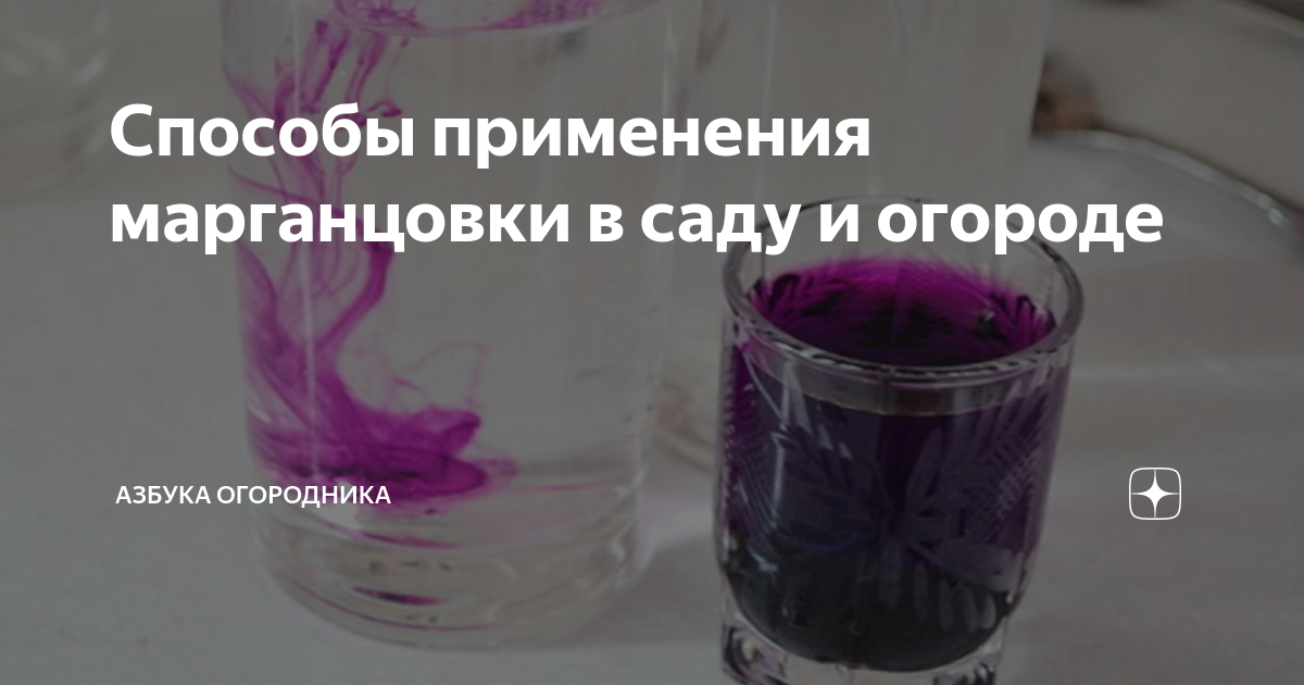 Как разводить марганцовку для растений. Марганцовка применение в быту. Использование марганцовки в быту. Семена в марганцовке. Марганцовка и перекись водорода.