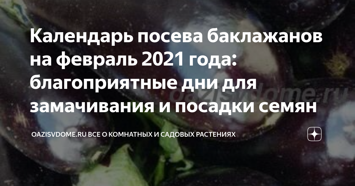 Календарь посева баклажанов на февраль 2021 года: благоприятные дни для ...
