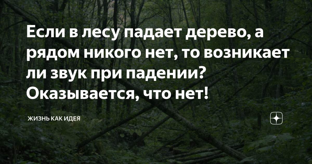 Звук падающего дерева в лесу — Википедия