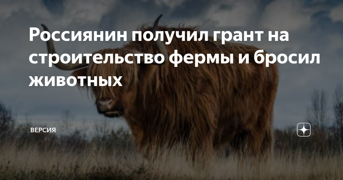 Гранты на строительство глэмпингов